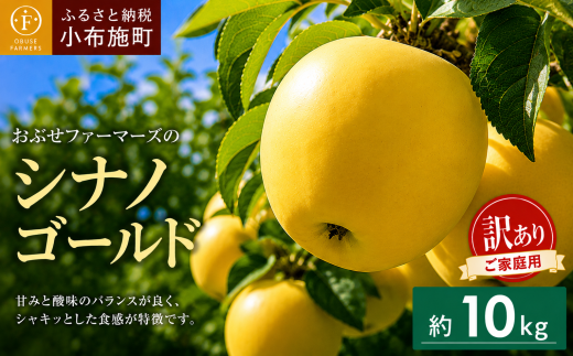 訳あり】 シナノゴールド 約10kg ［おぶせファーマーズ］ 不揃い 規格