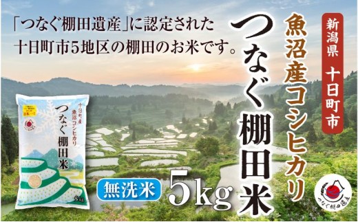 無洗米5kg 令和7年産新潟県十日町市魚沼産コシヒカリ「つなぐ棚田米