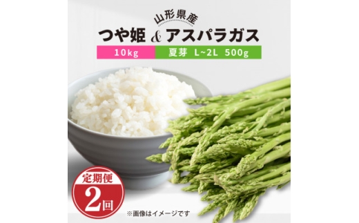 発送月固定定期便】川西町産つや姫10kgアスパラガス(夏)L～2L 500g全2