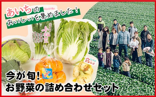 今が旬！お野菜の詰め合わせセット｜旬野菜 詰め合わせ 野菜セット