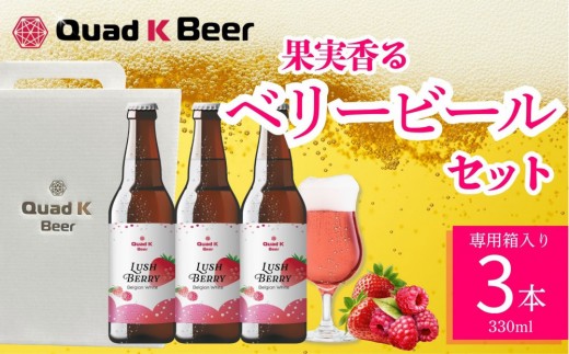 クラフトビール LUSH BERRY3本セット - 香川県坂出市｜ふるさと
