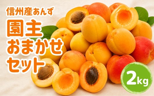 ★信州大実　6kg 信州産 あんず　杏　生あんず　アプリコット 2027年先行予約】あんず 園主おまかせ セット 計約2kg | 杏子