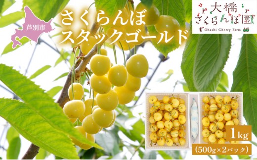 先行受付 】さくらんぼ スタックゴールド1kg（500g×2パック