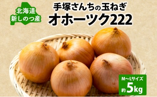北海道 新しのつ産 手塚さんちのたまねぎ M～Lサイズ 約5kg オホーツク