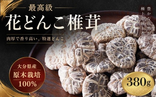 椎茸 <大分産椎茸 しいたけ> 最高級椎茸 花どんこ椎茸 380g | 椎茸