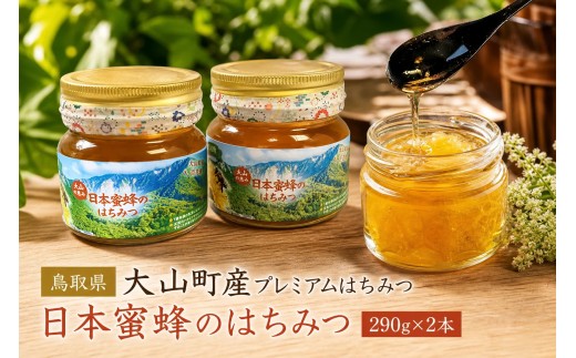 MS-82 大山町産プレミアムはちみつ「日本蜜蜂のはちみつ」（290g×2本