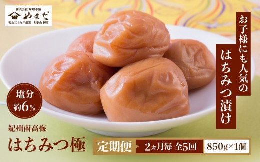 定期便・2ヵ月毎 全5回】紀州南高梅 はちみつ極 850g ［YM10w