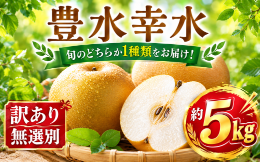 梨 豊水 幸水 約5kg 【 先行予約 】【2027年発送分】総合ランキング