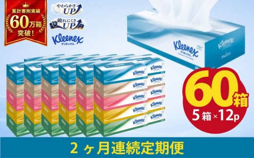 【 定期便 2ヶ月 】 ティッシュ クリネックス 60箱 ( 5箱 × 12パック ) ティッシュ  ボックスティッシュ ティッシュペーパー BOXティッシュ 箱ティッシュ 日用品 消耗品 生活用品 常備品 必需品  日本製 防災備蓄 備蓄 防災 てぃっしゅぺーぱー てぃっしゅ ティッシュ
