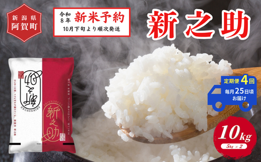 令和6年度 新潟米 白米 25キロ 令和8年産 新米予約》【定期便 全4回】米 10kg（5kg×2袋）×4回 (計40kg