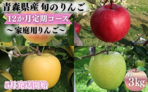 2027年5月発送開始】青森県産 りんご 12ヶ月定期便 約3kg 家庭用 1年間
