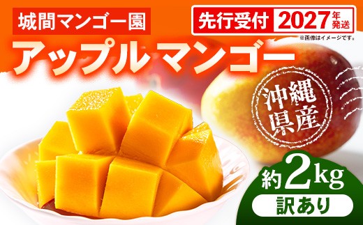 先行受付】【2027年発送】城間マンゴー園のアップルマンゴー 訳あり 約