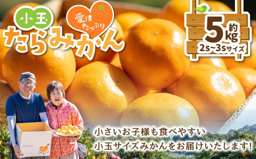愛情たっぷりたらみかん(小玉)5kg みかん ミカン 蜜柑 たらみかん 愛情たっぷりたらみかん(小玉)5kg みかん ミカン 蜜柑 たらみかん
