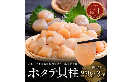 配送月&内容量が選べる】オホーツク海産ホタテ貝柱1kg ( ふるさと納税
