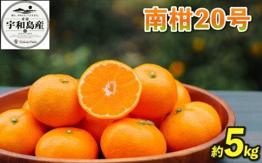 濃厚な甘みとコク 南柑20号 5kg コルレオファーム B010-145008 - 愛媛
