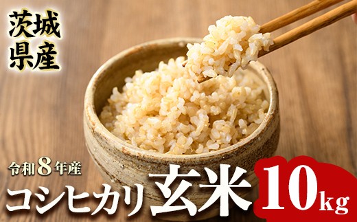 茨城県産 R8年産 コシヒカリ玄米 10kg 米 お米 こめ コメ 玄米 茨城