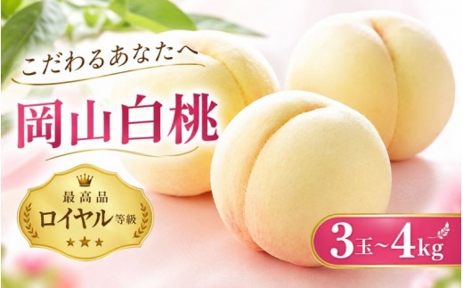 2027年先行予約】岡山白桃＜光センサー選別＞最上級品《ロイヤル等級