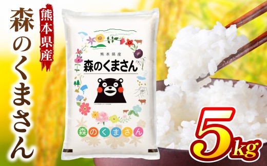 令和8年熊本地震復興支援 《令和7年産》 森のくまさん 5kg × 1袋 米 お