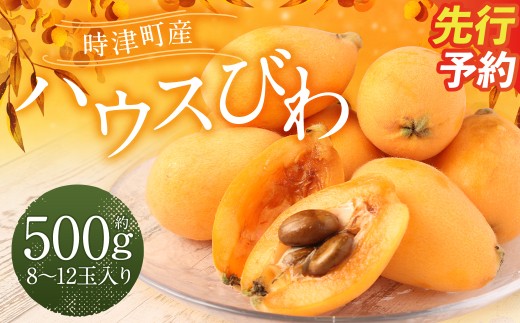 長崎 高級ハウスびわ 500g 化粧箱入り 枇杷【初夏の風物詩】【2026年4