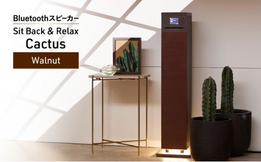 Sit Back ＆ Relax Cactus Black CD機能付きタワー型Bluetooth