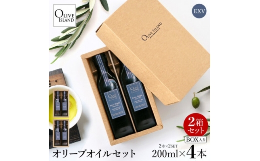 エキストラバージン(EXV)オリーブオイル2本入ギフト 2セット(200ml×2本×2)【1777221】