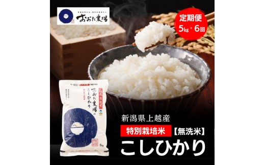 令和8年産 新潟県上越産 特別栽培米 コシヒカリ 定期便 5kg×6回 計30kg
