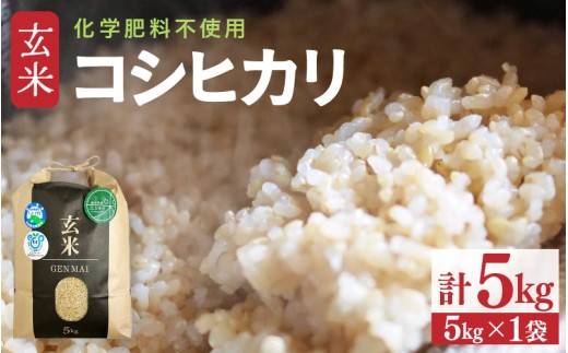 令和8年産】 特別栽培米 コシヒカリ 玄米 5kg 化学肥料不使用 / 米
