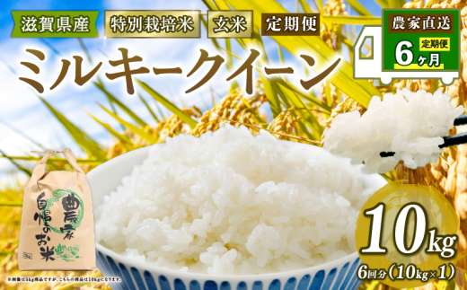 特別栽培米 ミルキークイーン 米 10kg 玄米 定期便 6ヶ月 みるきーくい