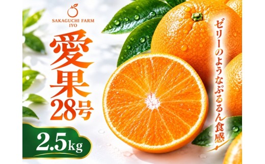 2026年先行予約】みかん 愛果28号 M〜3Lサイズ混合 2.5kg 【2026年11月