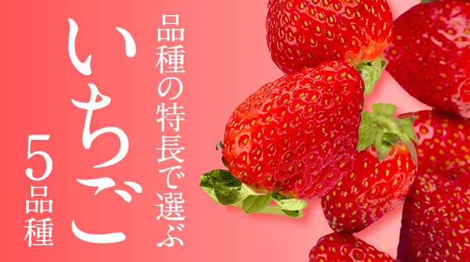 いちご,イチゴ,苺,あまおう,紅ほっぺ,さがほのか,淡雪,とちおとめ,ストロベリーに関連する特集