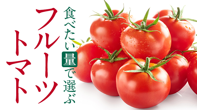 トマト,フルーツトマト,高糖度トマト,ミニトマト,アイコトマトに関連する特集