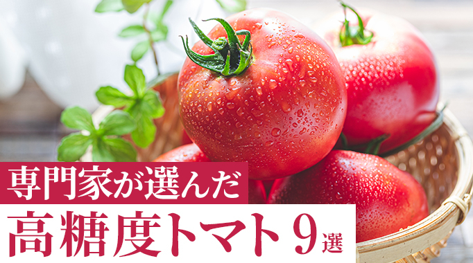 トマト,ミニトマト,フルーツトマト,野菜類,高糖度トマトに関連する特集