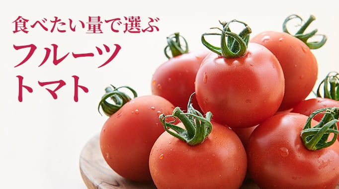 トマト,フルーツトマト,高糖度トマト,ミニトマト,アイコトマト,野菜類に関連する特集
