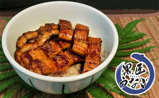 鹿児島県大隅産!備長炭焼うな丼の素 100g ×8袋入り