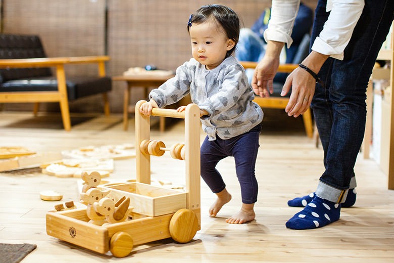 10 35 山のくじら舎ピヨピヨ ておしぐるま 受注生産品 高知県安芸市 ふるさと納税 ふるさとチョイス