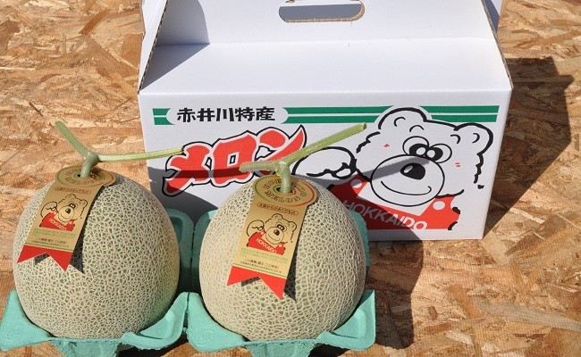 二川農園で収穫されたハウスメロン２玉をお届け致します。