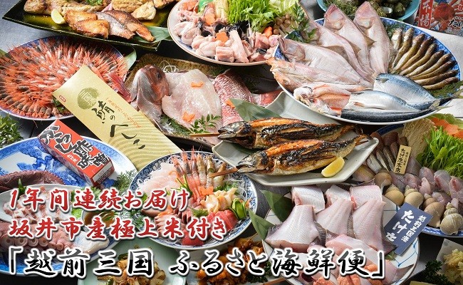 【1年間連続お届け】「越前三国ふるさと海鮮便」+坂井市産極上米定期便