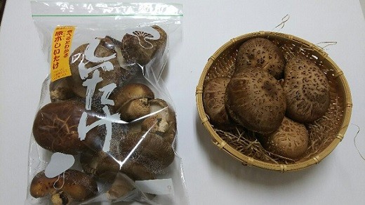 田上きのこ園原木しいたけ