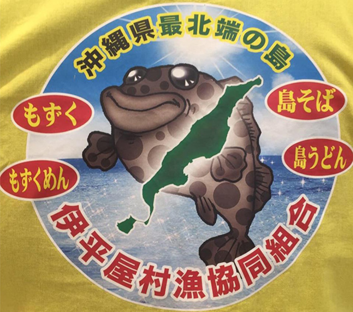 天然ソデイカ セーイカ 真空パック どどーんと１kｇ 沖縄県伊平屋村 ふるさと納税 ふるさとチョイス