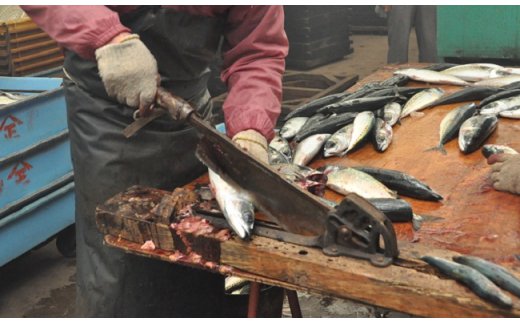 大量の魚を一気にさばいていく様は壮観!頭や尾は肥料として活用。