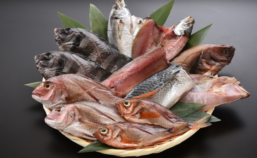 魚好きも満足!日本海の海の幸に舌鼓を!