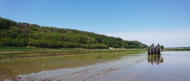 青空の下、今年も田植えが始まりました!