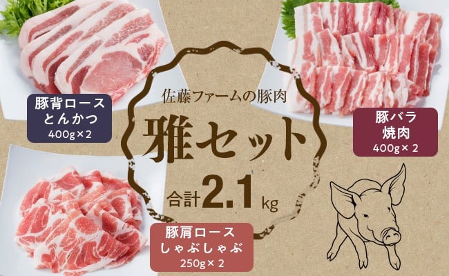 高鍋町産 佐藤ファームの豚肉 雅セット合計2.1kg＞翌月末迄に順次出荷 