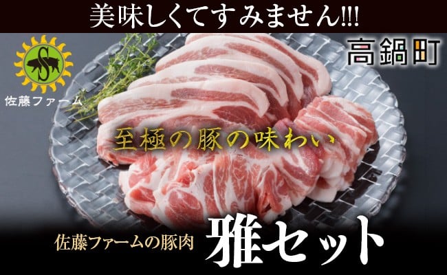 高鍋町産 佐藤ファームの豚肉 雅セット合計2.1kg＞翌月末迄に順次出荷 