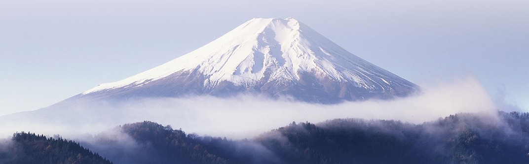 奇数月にお届け 富士山麓牛定期便 山梨県富士吉田市 ふるさと納税 ふるさとチョイス