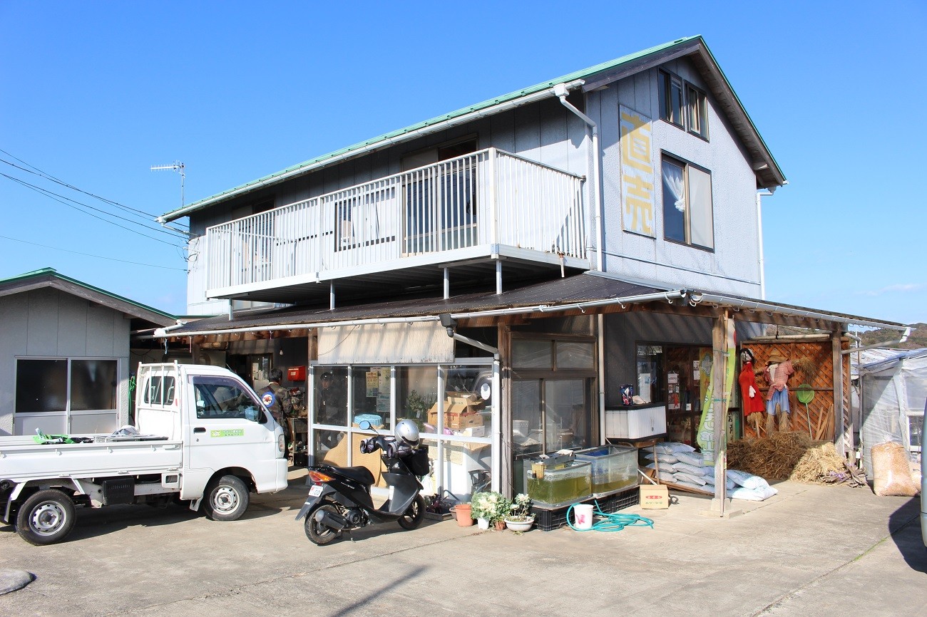 写真