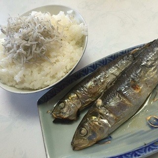 写真