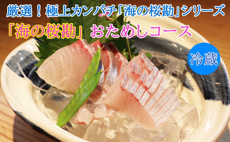 A1-0104/「海の桜勘」おためしコース