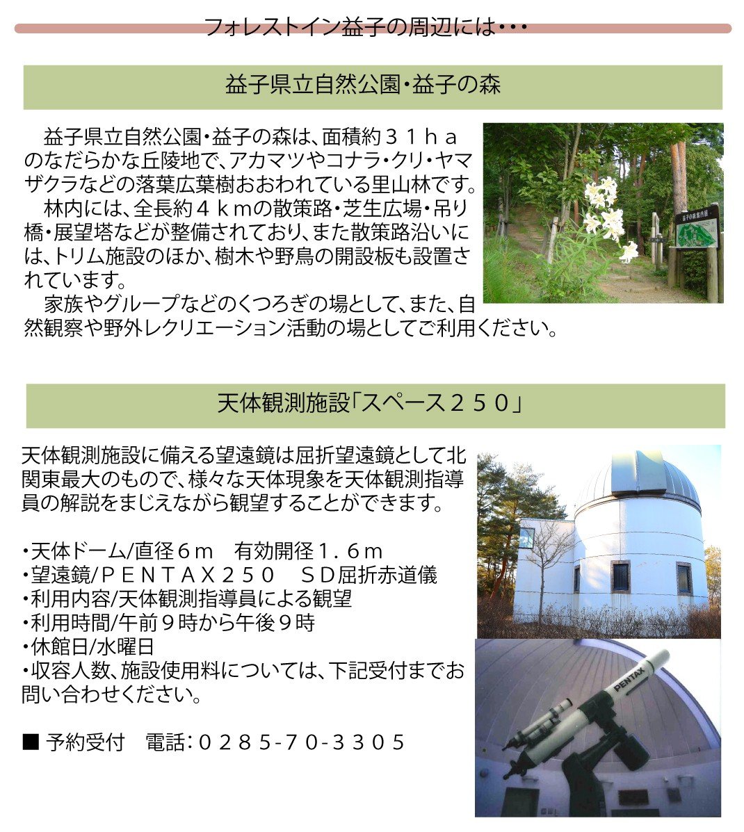 5666 0128 フォレストイン益子宿泊券 栃木県益子町 ふるさと納税 ふるさとチョイス