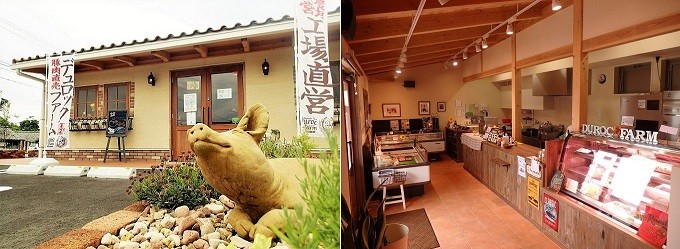 自社加工場に併設している直売所